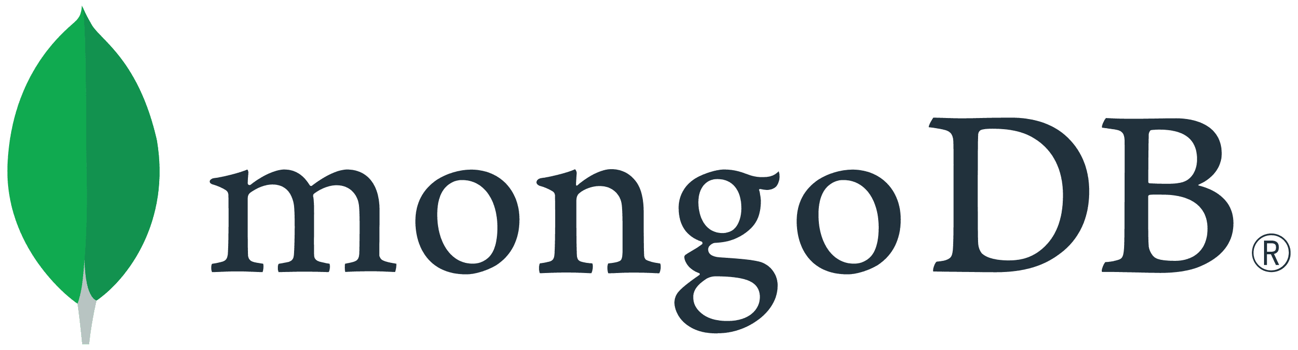 Technology Partner